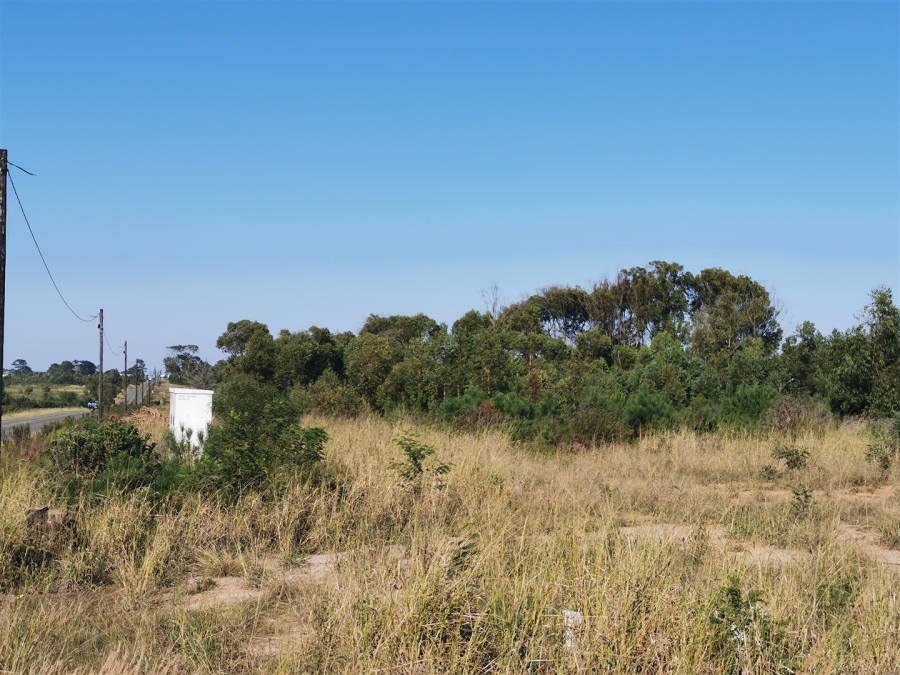 0 Bedroom Property for Sale in Kranshoek AH Western Cape